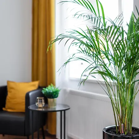 Goethe Palais Anna Amalia L 1-8p L Lift L Parkplatz Apartment